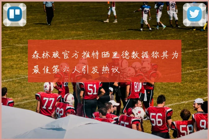 森林狼官方推特晒里德数据称其为最佳第六人引发热议
