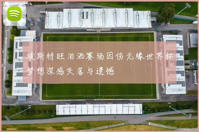 埃斯特旺泪洒赛场因伤无缘世界杯梦想深感失落与遗憾