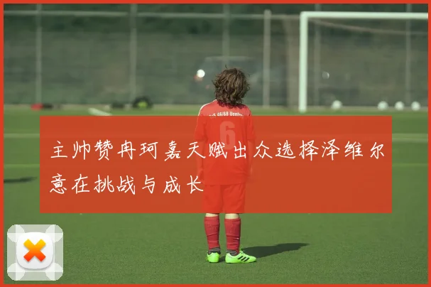 主帅赞冉珂嘉天赋出众选择泽维尔意在挑战与成长